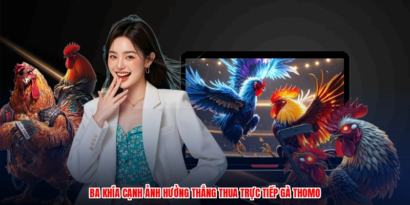 Trực Tiếp Gà Thomo - Cách Cược Trận Gà Campuchia Chuẩn 2 Ba khía cạnh ảnh hưởng thắng thua trực tiếp gà thomo