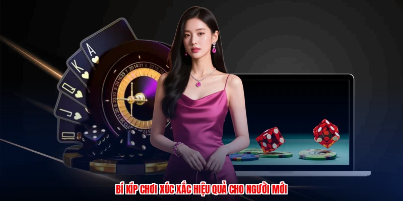 Quy Luật Sicbo - Luật Chơi Và Mẹo Dành Cho Tân Thủ 2026 4 Bí kíp chơi xúc xắc hiệu quả cho người mới