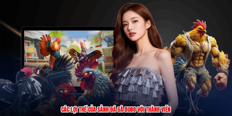 Các lợi thế của sảnh đá gà BU88 với thành viên