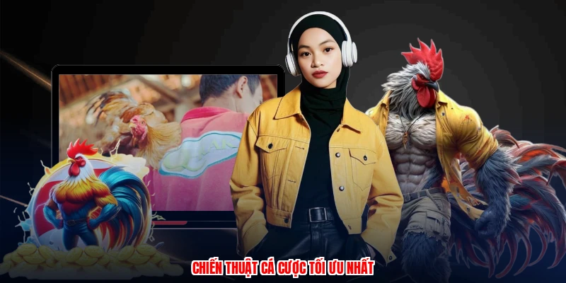Trực Tiếp Gà Thomo - Cách Cược Trận Gà Campuchia Chuẩn 3 Chiến thuật cá cược tối ưu nhất