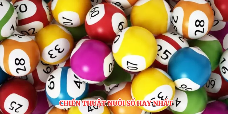 Bắt Bạch Thủ Lô - Chiến Thuật Nuôi Số Chuẩn Xác Nhất 3 Chiến thuật nuôi số hay nhất