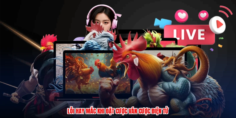 Trực Tiếp Gà Thomo - Cách Cược Trận Gà Campuchia Chuẩn 4 Lỗi hay mắc khi đặt cược ván cược điện tử