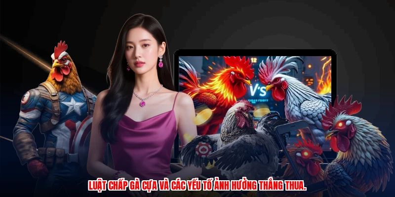 Luật Chấp Gà Cựa - Phân Tích Kèo Và Cược Chuẩn Xác 2 Luật chấp gà cựa và các yếu tố ảnh hưởng thắng thua.