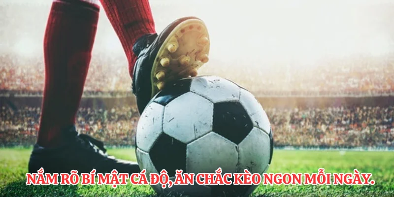 Phân Tích Kèo Thơm - Nghệ Thuật Đặt Cược Chuẩn Xác Nhất 3 Nắm rõ bí mật cá độ, ăn chắc kèo ngon mỗi ngày.