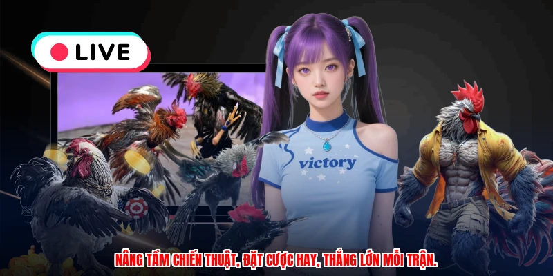 Luật Chấp Gà Cựa - Phân Tích Kèo Và Cược Chuẩn Xác 3 Nâng tầm chiến thuật, đặt cược hay, thắng lớn mỗi trận.