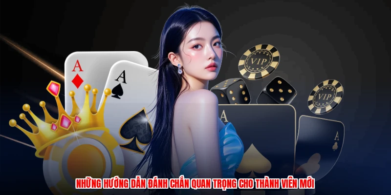 Những hướng dẫn đánh chắn quan trọng cho thành viên mới