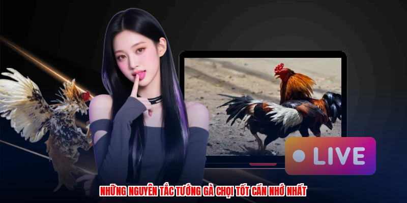 Cách Chọn Tướng Gà Chọi Tốt Chuẩn Nhất Tại Nhà Cái BU88 2 Những nguyên tắc tướng gà chọi tốt cần nhớ nhất
