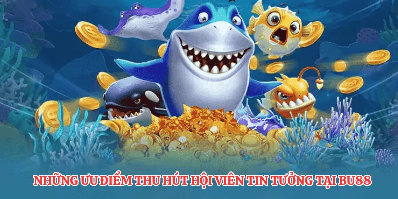 Cách Nạp Đạn BU88: Hướng Dẫn 3 Bước Giao Dịch Đơn Giản Nhất 3 Những ưu điểm thu hút hội viên tin tưởng tại BU88